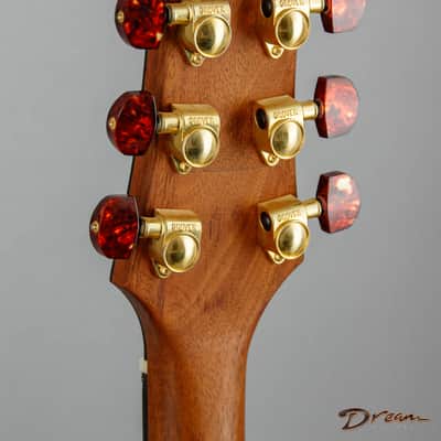 1998-2000 Harvey Leach Dragon, Mahogany/Maple/TW Doyle Pickups image 21