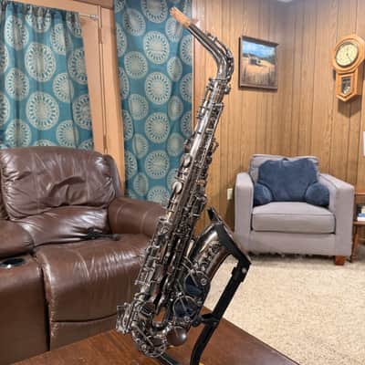 Cannonball Big-Bell Stone Series Alto Saxophone with Protec XL case image 1