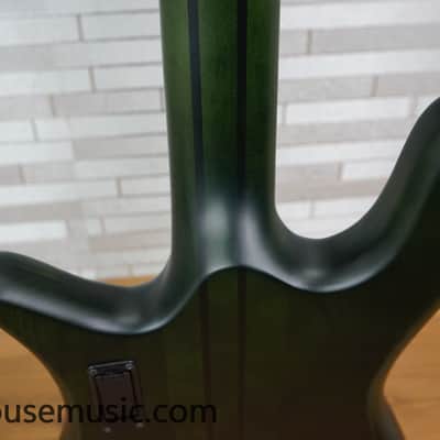 Spector NS Dimension 4 - Haunted Moss image 13