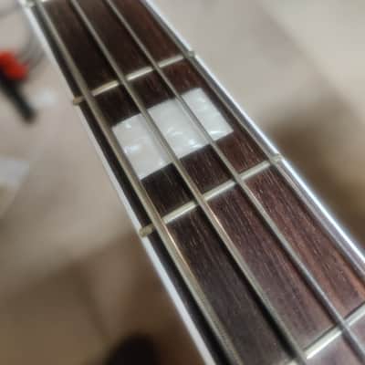 Lakland "Dudepit" Special Order P Bass w/ Darkstar pickup image 15
