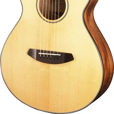 Breedlove Discovery Companion CE - Sitka Spruce/Mahogany (Travel) image 1