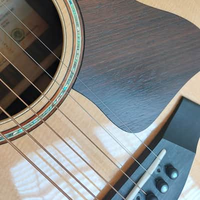 Taylor 818e Grand Orchestra 2020 - Hloss image 11