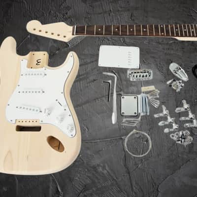 Strat Style Electric Guitar DIY Kit by Budreau Guitars image 1