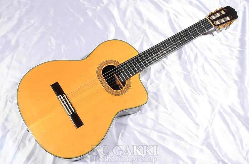 Takamine NPT 315 | Reverb