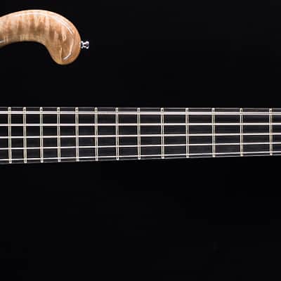 Ritter Roya 5-String Captain Silver USED (183) image 4