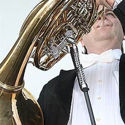 ERGObrass French Horn Support image 2