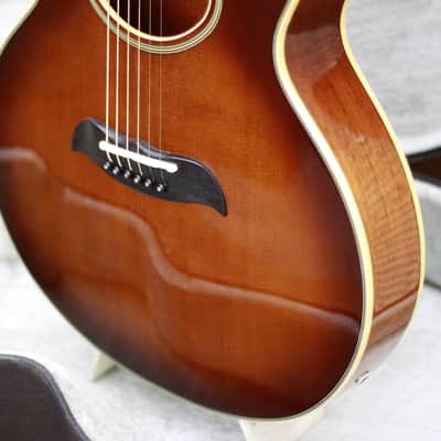 Aria Elecord FE-T65 image 6
