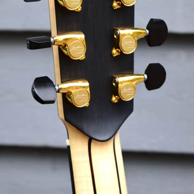 Lowden F50 African Blackwood & Sinker Redwood F-50 image 18