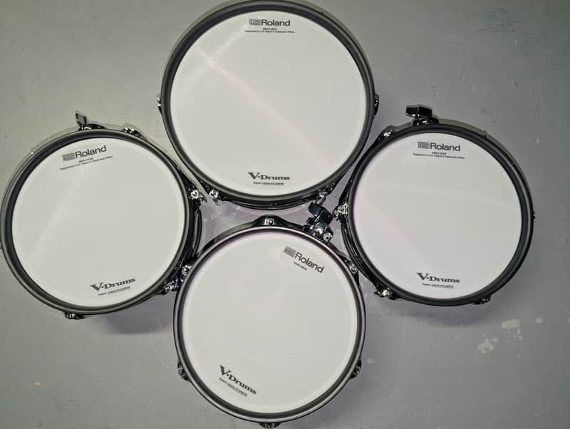 Roland PDA120LS / PDA100L V-Pad 10 / 12" Dual Trigger Mesh Drum Pads image 1
