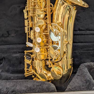 Alpine Woodwinds AAS143 2010's Alto Saxophone with Case - Gold image 8