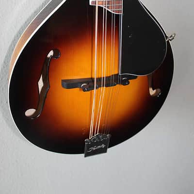 Brand New Kentucky KM-250 A-Style Mandolin with Gig Bag image 4