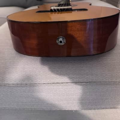 Di Giorgio Master E Classical Acoustic Nylon Guitar 2011 image 5