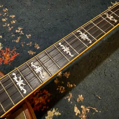 Ludwig The Ace - vintage Plectrum Banjo image 14
