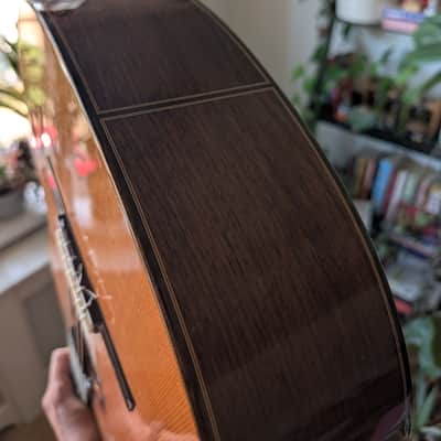 Cordoba C7 Classical Guitar image 13
