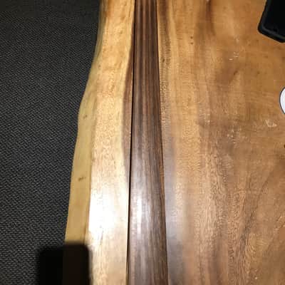 Music Man Stingray Fretless Neck image 5