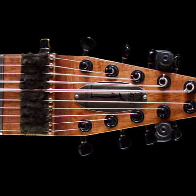 Chapman Stick 10-String image 7