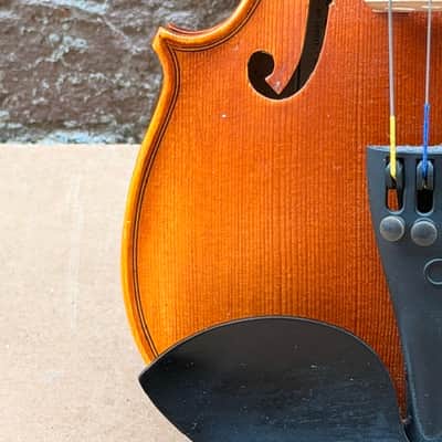 Cielo Dolce 1/2 Violin No: 160013 with Case no Bow image 9