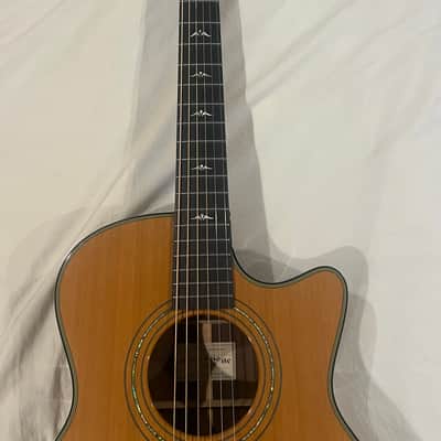 Stone bridge G 23 CR Cutaway 2012 - Cedar top, rosewood back & sides, Ebony, fright, board, and saddle image 3