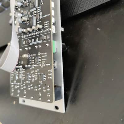Big T Music Rangoon Mutable Instruments Rings Clone Eurorack Module image 2