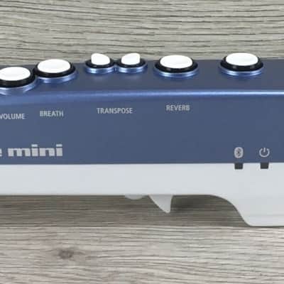 Roland Aerophone AE 01 image 17