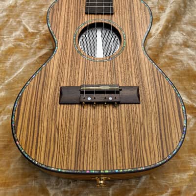 Liger Ukulele • Professional Tenor Ukulele with Built-in Amp and Speaker image 6