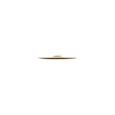 Zildjian FX Oriental China Trash Cymbal 12" image 4