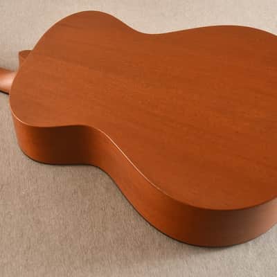 Breedlove USA Concerto Cinnamon Burst E image 9