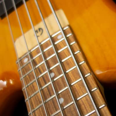 G.Gould GGi5 SST Hybrid Graphite/Maple Composite neck - Alder body - Amber finish - Pao Ferro Fretboard - 8.6 pounds - #1513 image 10
