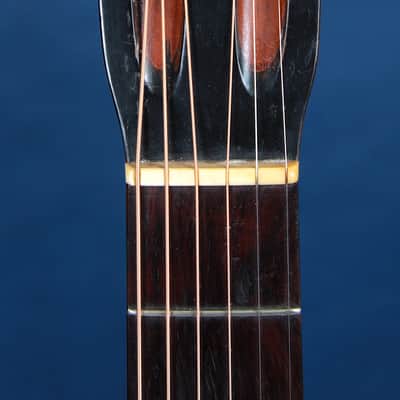 Washburn Style E Concert Size 1923-28 / Rare Special Order! image 3
