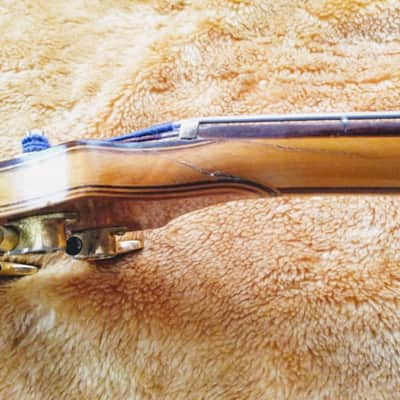 Alembic Series 1 1975 Zebrawood image 13