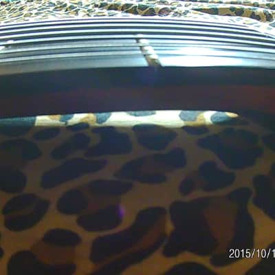 Conklin Sidewinder Custom   7 seven string Bass 36 frets! image 16