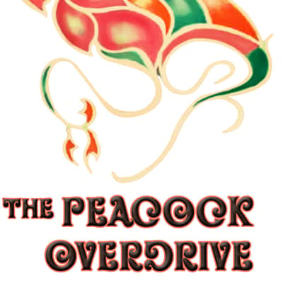 MISSING LINK AUDIO PEACOCK OVERDRIVE image 5