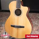 Taylor 212ce-N Plus Grand Concert Acoustic/Electric Guitar with Aerocase - Factory Demo