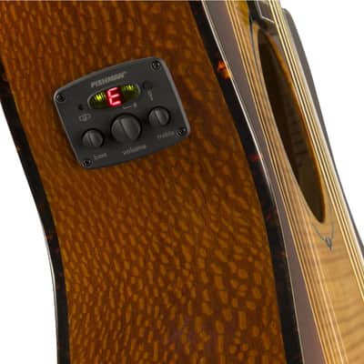 Fender FA-345CE Auditorium Cutaway Acoustic Guitar, with 2-Year Warranty, 3-Color Tea Burst image 8