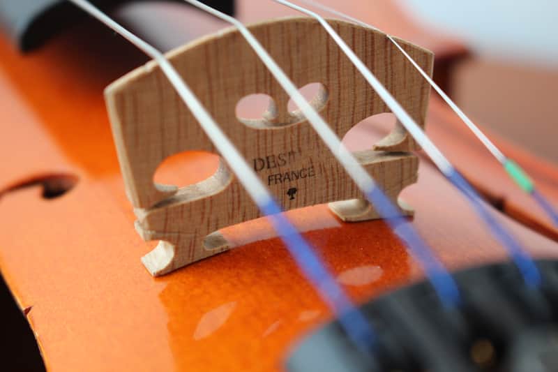 Josef Jan Dvorak 260 Handcrafted by Strunal in Luby 1/2 Violin w