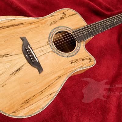 B.C. Rich Acoustic Cutaway 6 -String - Spalted Maple - W/Matrix Infinity VT & Hardcase image 4