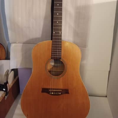 Seagull Entourage Dreadnought 2018 - Autumn Burst image 5