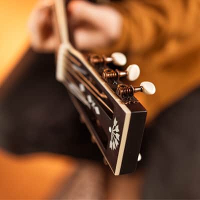 Washburn R310K | Vintage Style Parlor Guitar. New with Full Warranty! image 13