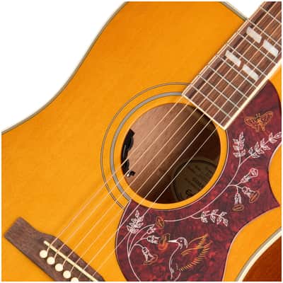 Epiphone Hummingbird Studio, Antique Natural, with Gig Bag image 5