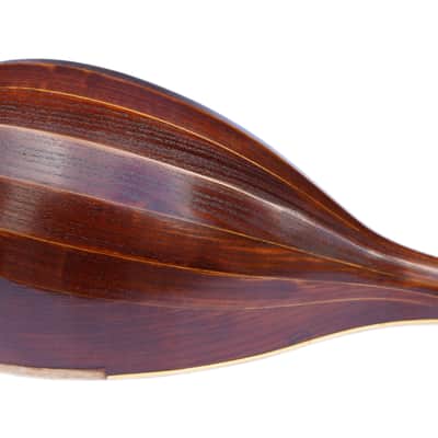 Persian Shourangiz Shurangiz Surangiz String Musical Instrument SHM-3 image 7