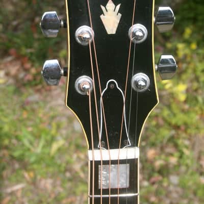 1976 Jagard Hummingbird Model GB-300HN MIJ by Terada Gakki+Hard Case image 6