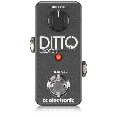 TC Electronic Ditto Looper | Single Knob Overdub Looping Guitar Effects  Pedal image 1