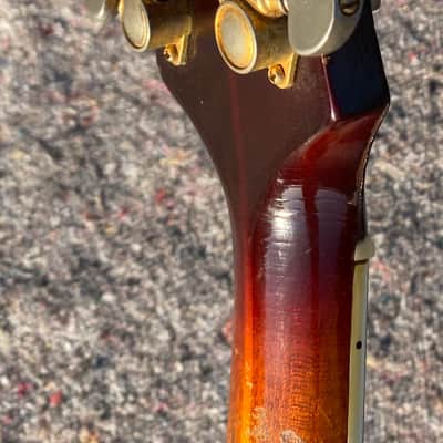 Guild Bluesbird M-75 1969 - Cherry Sunburst image 14