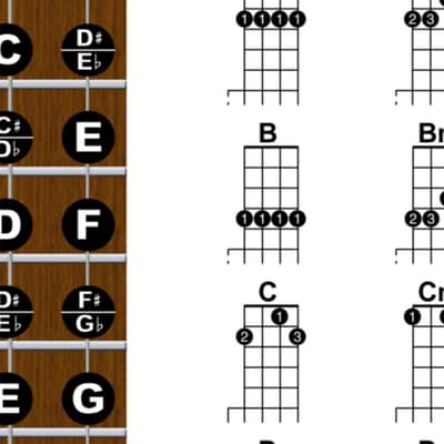 5 String Banjo Fretboard Notes Poster & Chord Chart  G Tuning 11x17 Beginner Easy Learn Book image 4