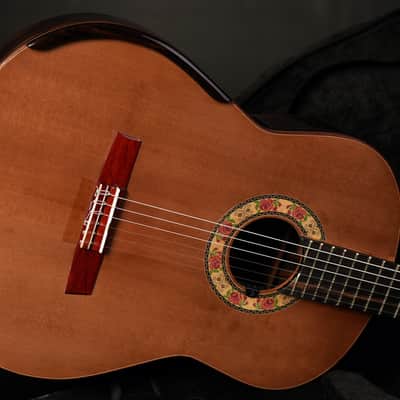 Double Top Classical Guitar image 3