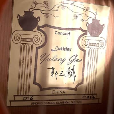 Yulong Guo Ziricote Concert 2016 #14 image 4