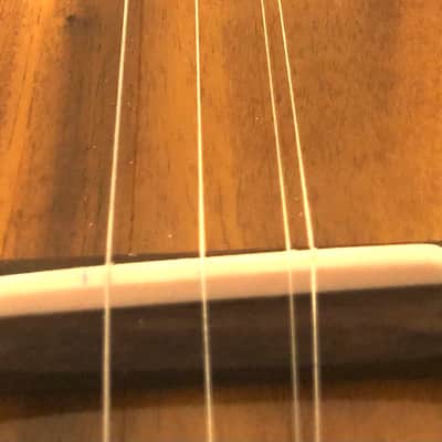 Acoustic/electric dulcimer guitars image 6