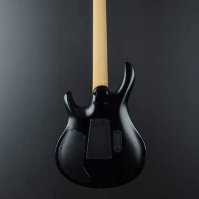 Paul Reed Smith SE Chleo, '25 image 4