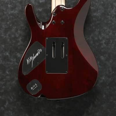Ibanez KIKO10BP-TGB Kiko Loureiro Signature Electric Guitar 6-String - Transparent Grey Burst + Gig Bag image 12