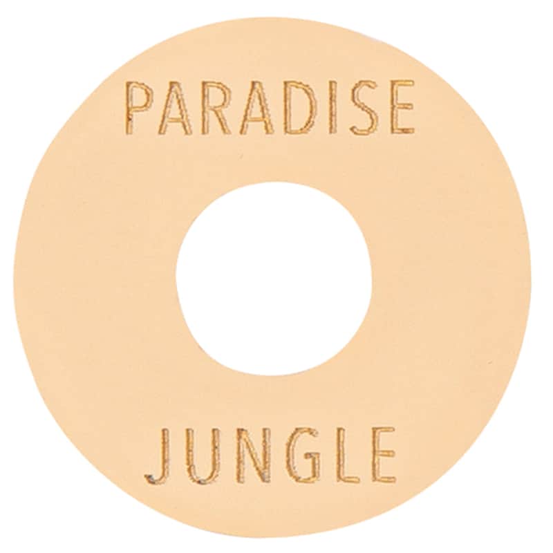 Joe Doe Joe Doe Poker Chip Toggle Switch Surround ~ ~ Paradise...